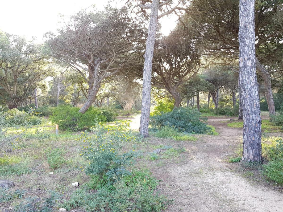 צ'יקלנה דה לה פרונטרה Apartamento Pinar Del Atlantico-La Barrosa מראה חיצוני תמונה